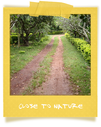 Close to Nature