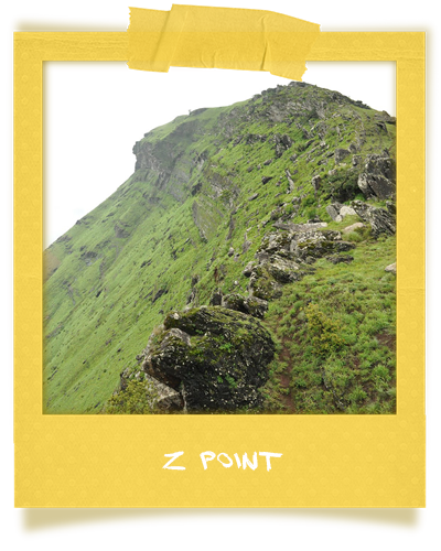 Z Point near Rangers Camp, Chikmagalur, Karnataka